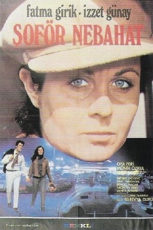 En dvd sur amazon Şoför Nebahat