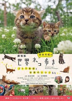 En dvd sur amazon 劇場版　岩合光昭の世界ネコ歩き　コトラ家族と世界のいいコたち