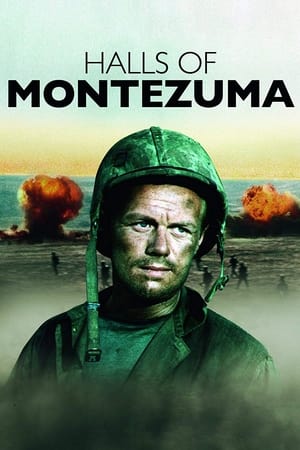 En dvd sur amazon Halls of Montezuma