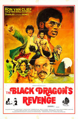 En dvd sur amazon 龍爭虎鬥精武魂 / The Black Dragon's Revenge