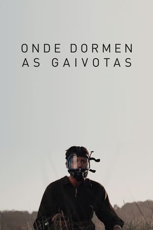 En dvd sur amazon Onde dormen as gaivotas