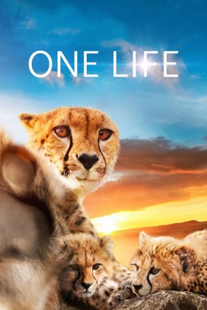 En dvd sur amazon One Life