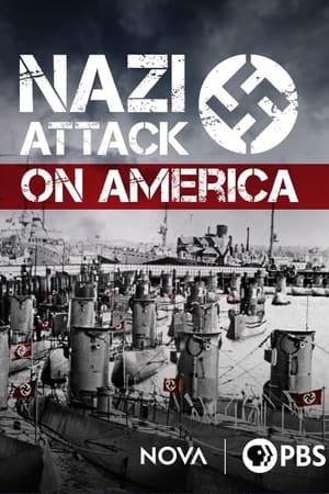 En dvd sur amazon Nazi Attack on America