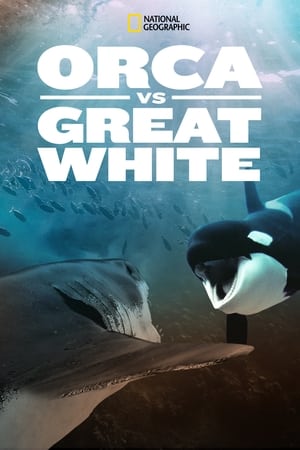 En dvd sur amazon Orca Vs. Great White