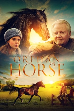En dvd sur amazon Orphan Horse