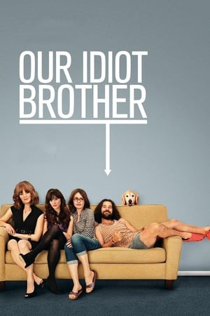 En dvd sur amazon Our Idiot Brother