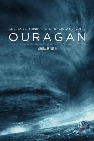 En dvd sur amazon Ouragan, l'odyssée d'un vent