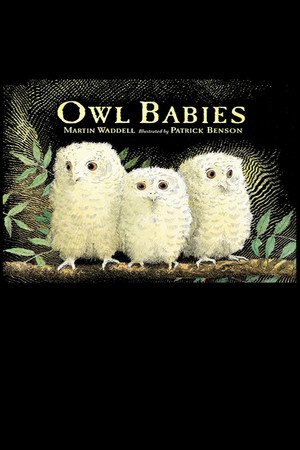 En dvd sur amazon Owl Babies