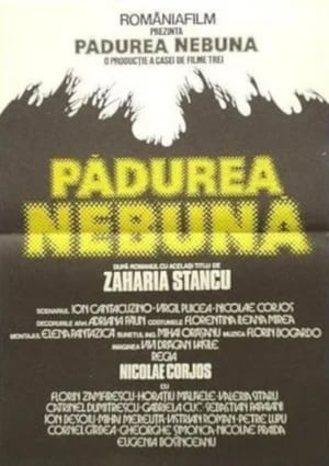 En dvd sur amazon Pădurea nebună