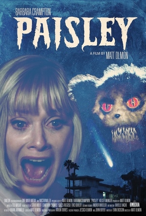 En dvd sur amazon Paisley