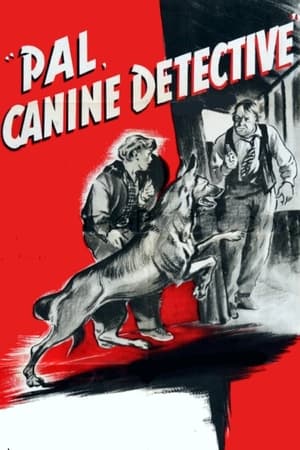En dvd sur amazon Pal, Canine Detective
