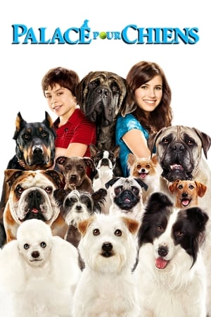En dvd sur amazon Hotel for Dogs