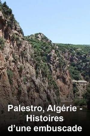 En dvd sur amazon Palestro, Algérie: Histoires d'une embuscade