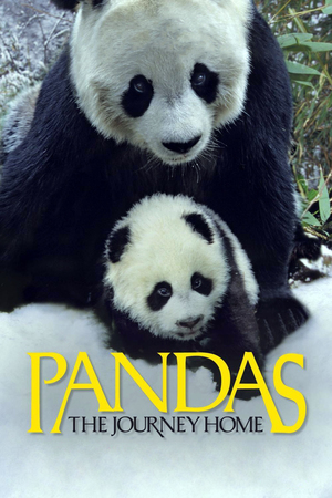 En dvd sur amazon Pandas: The Journey Home