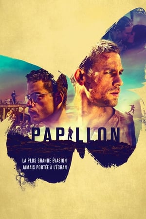 En dvd sur amazon Papillon