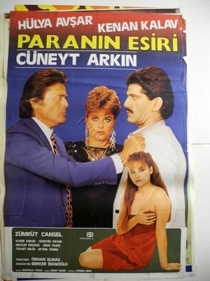 En dvd sur amazon Paranın Esiri