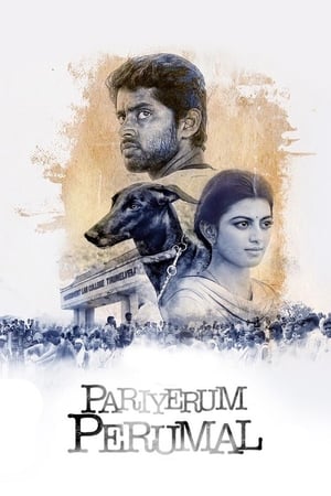 En dvd sur amazon பரியேறும் பெருமாள்