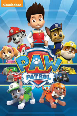 En dvd sur amazon PAW Patrol