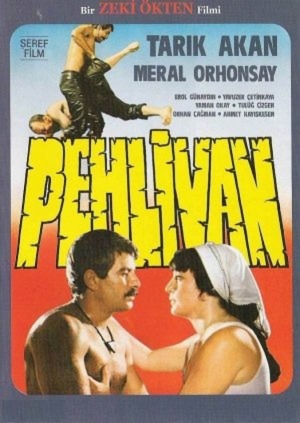 En dvd sur amazon Pehlivan