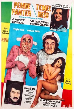 En dvd sur amazon Pembe Panter ve Temel Reis Gangsterlere Karşı