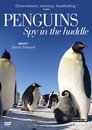 Penguins: Spy in the Huddle