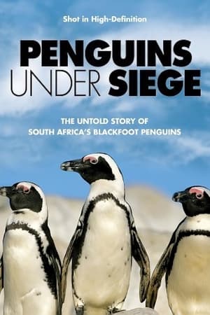 En dvd sur amazon Penguins Under Siege