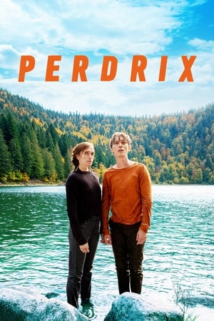 En dvd sur amazon Perdrix