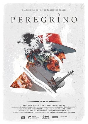 En dvd sur amazon Peregrino