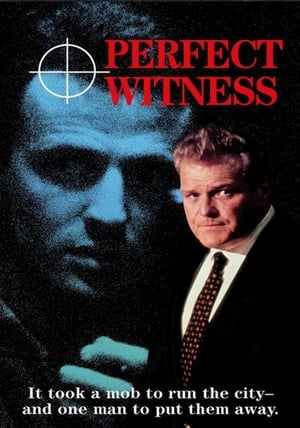 En dvd sur amazon Perfect Witness