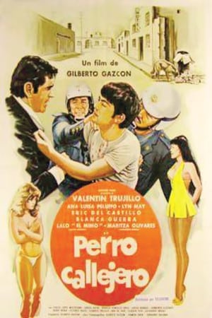 En dvd sur amazon Perro callejero