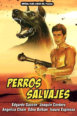 En dvd sur amazon Perros salvajes