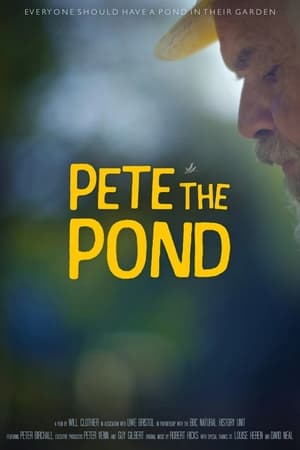 Téléchargement de 'Pete the Pond' en testant usenext