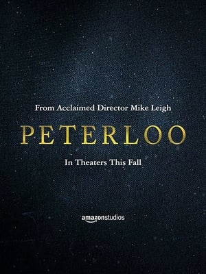 En dvd sur amazon Peterloo