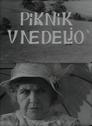 Piknik v nedeljo