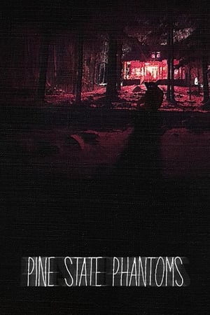 En dvd sur amazon Pine State Phantoms
