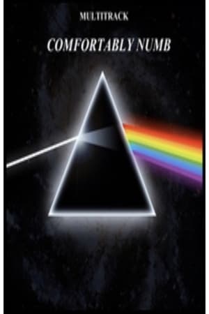En dvd sur amazon Pink Floyd - Comfortably Numb