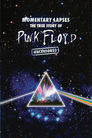 Pink Floyd: Momentary Lapses: The True Story of Pink Floyd
