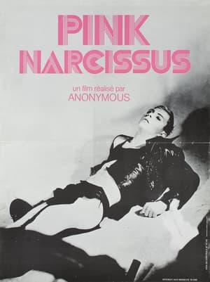 En dvd sur amazon Pink Narcissus