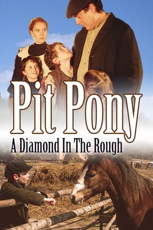 En dvd sur amazon Pit Pony