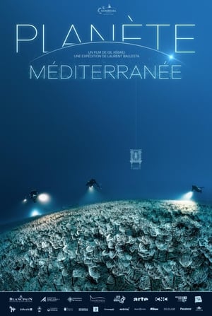 En dvd sur amazon Planète Méditerranée