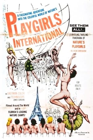En dvd sur amazon Playgirls International