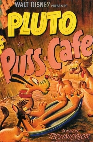 En dvd sur amazon Puss Cafe