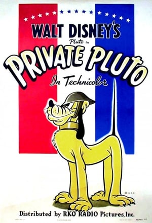 En dvd sur amazon Private Pluto