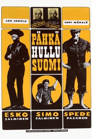 En dvd sur amazon Pähkähullu Suomi