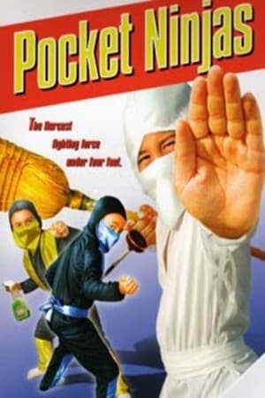 En dvd sur amazon Pocket Ninjas