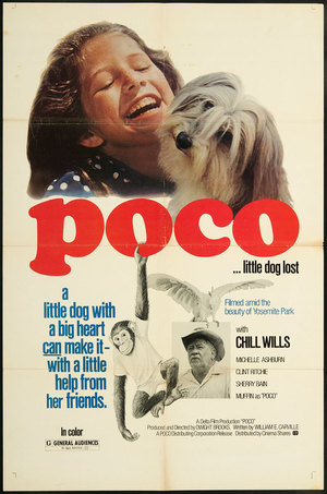En dvd sur amazon Poco… Little Dog Lost