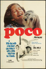 Poco… Little Dog Lost