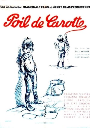 En dvd sur amazon Poil de carotte