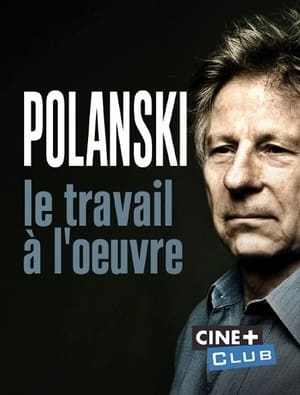En dvd sur amazon Polanski, le travail à l'oeuvre