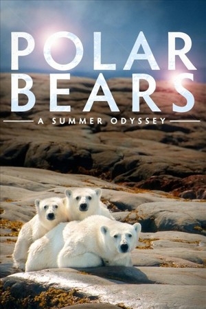 En dvd sur amazon Polar Bears: A Summer Odyssey